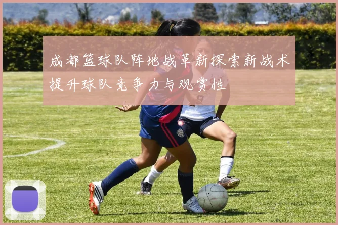 成都篮球队阵地战革新探索新战术提升球队竞争力与观赏性