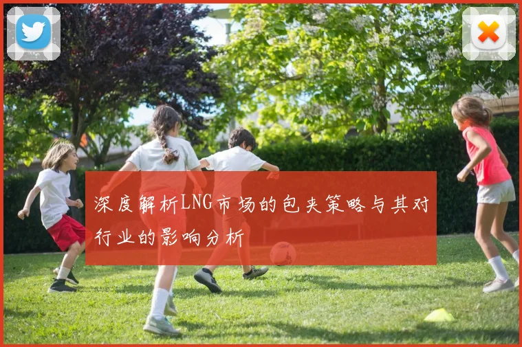 深度解析LNG市场的包夹策略与其对行业的影响分析