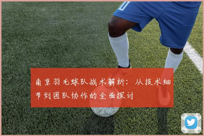 南京羽毛球队战术解析：从技术细节到团队协作的全面探讨